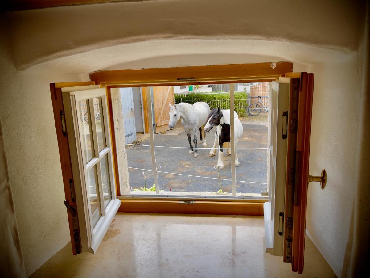 Rohrachhof Lägenhet Treuchtlingen Exteriör bild
