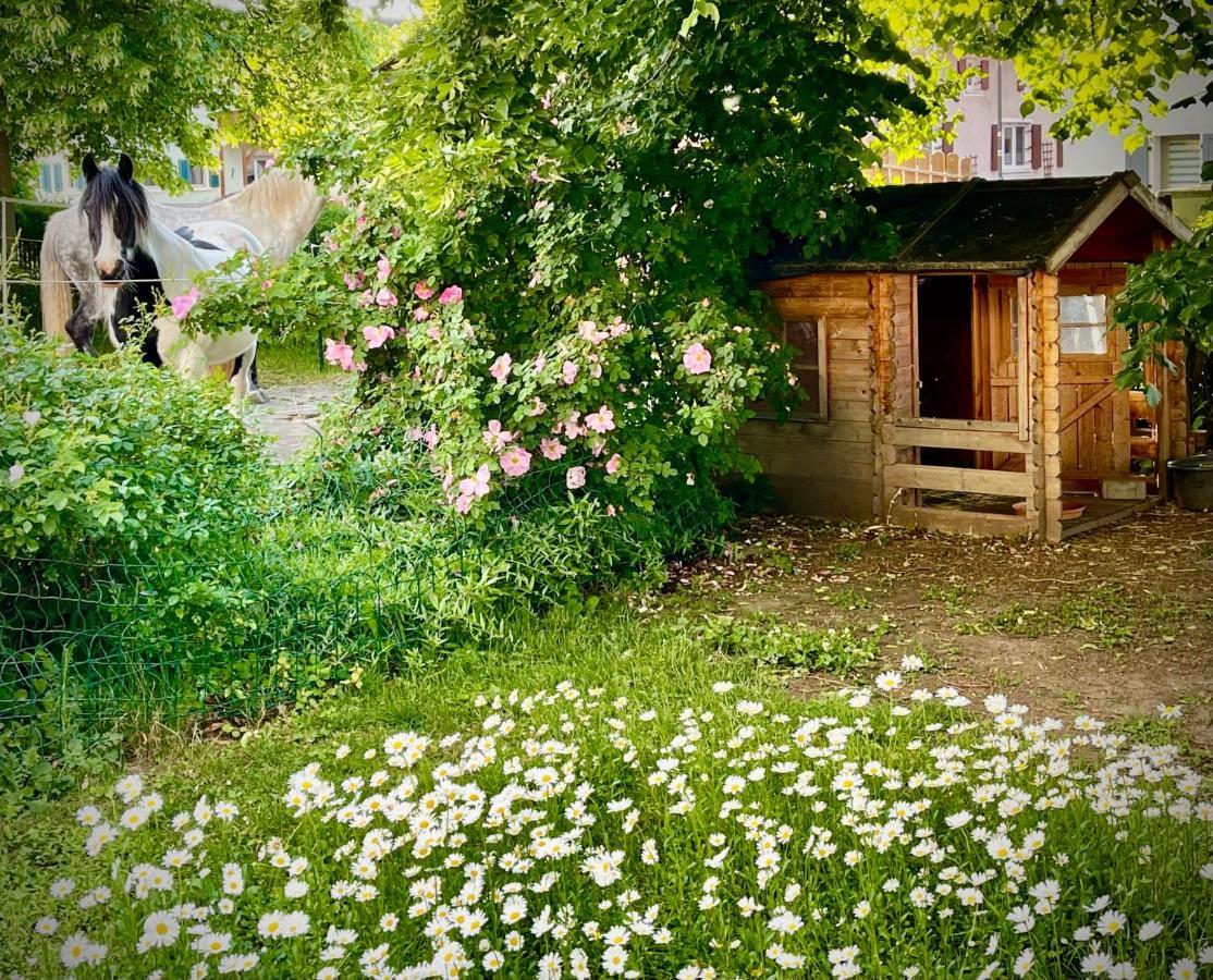 Rohrachhof Lägenhet Treuchtlingen Exteriör bild